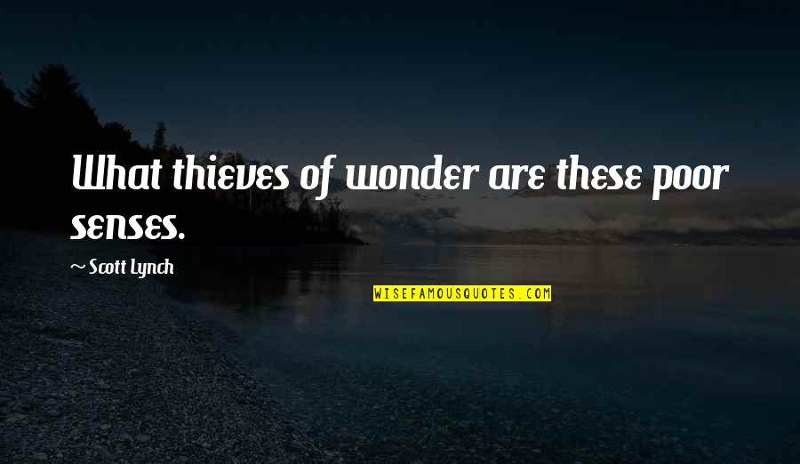 Skeedo Quotes By Scott Lynch: What thieves of wonder are these poor senses.