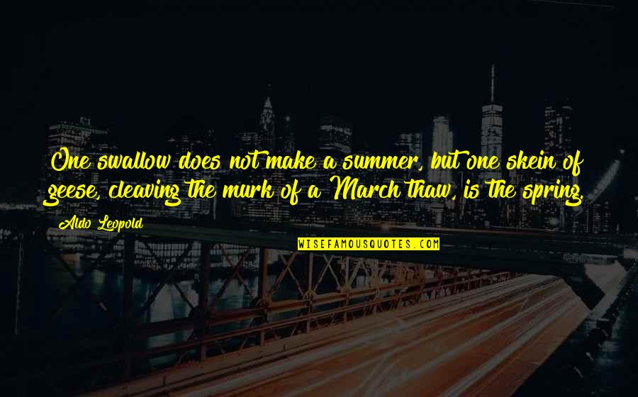 Skein Quotes By Aldo Leopold: One swallow does not make a summer, but
