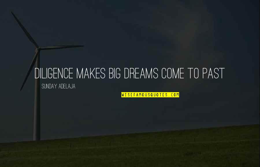 Skepticisms Quotes By Sunday Adelaja: Diligence makes big dreams come to past