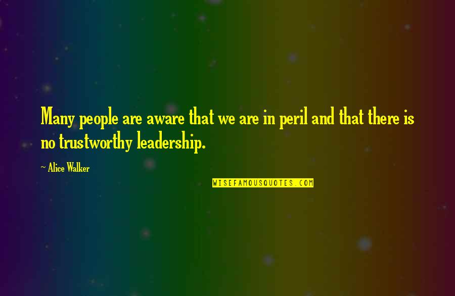 Skeves Quotes By Alice Walker: Many people are aware that we are in Skeves Quotes By Alice Walker: Many people are aware that we are in