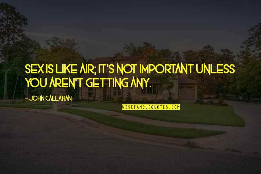 Skewer Sticks Quotes By John Callahan: Sex is like air; it's not important unless