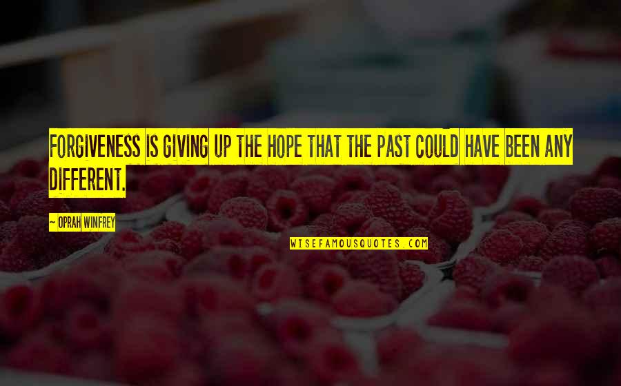 Skid Sideways Into Grave Quotes By Oprah Winfrey: Forgiveness is giving up the hope that the