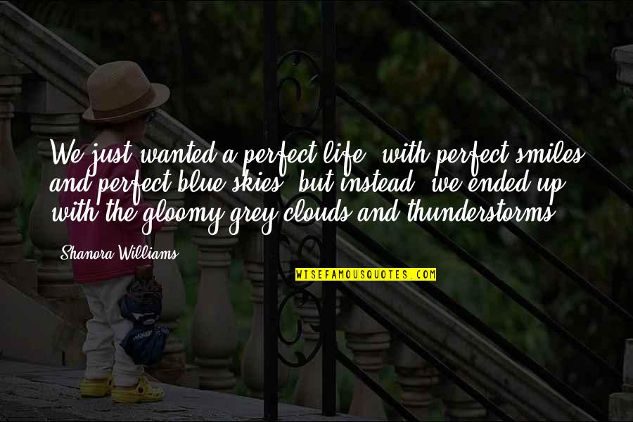 Skies And Clouds Quotes By Shanora Williams: We just wanted a perfect life, with perfect