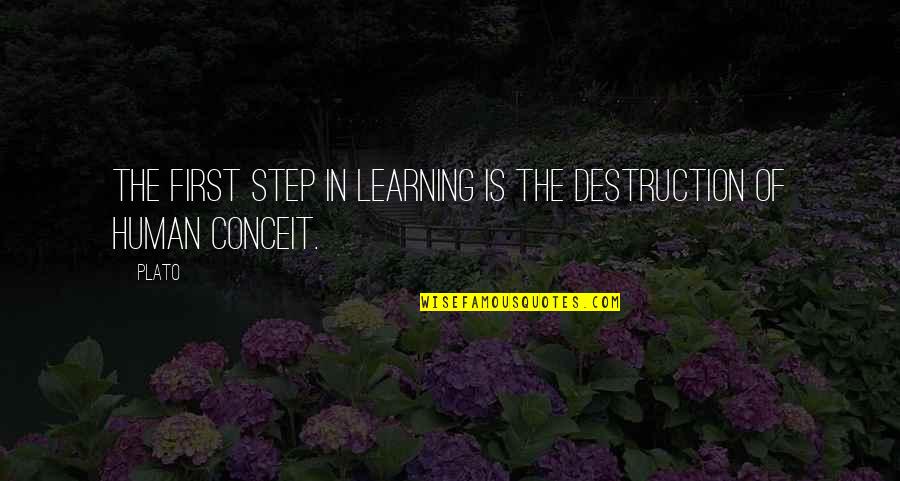 Skillet Quote Quotes By Plato: The first step in learning is the destruction