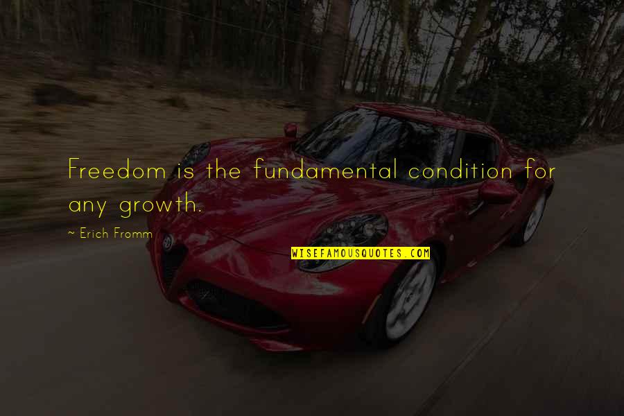 Skillful Work Quotes By Erich Fromm: Freedom is the fundamental condition for any growth.