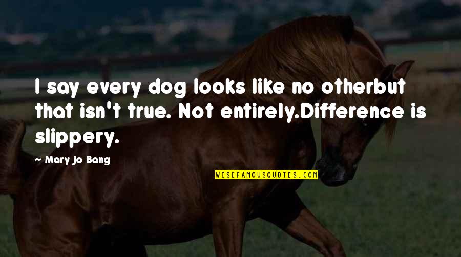 Skillset Define Quotes By Mary Jo Bang: I say every dog looks like no otherbut