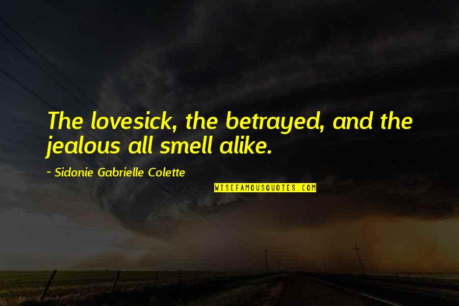 Skimped Out Quotes By Sidonie Gabrielle Colette: The lovesick, the betrayed, and the jealous all
