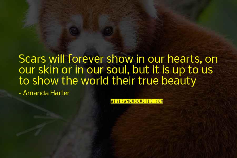 Skin And Scars Quotes By Amanda Harter: Scars will forever show in our hearts, on