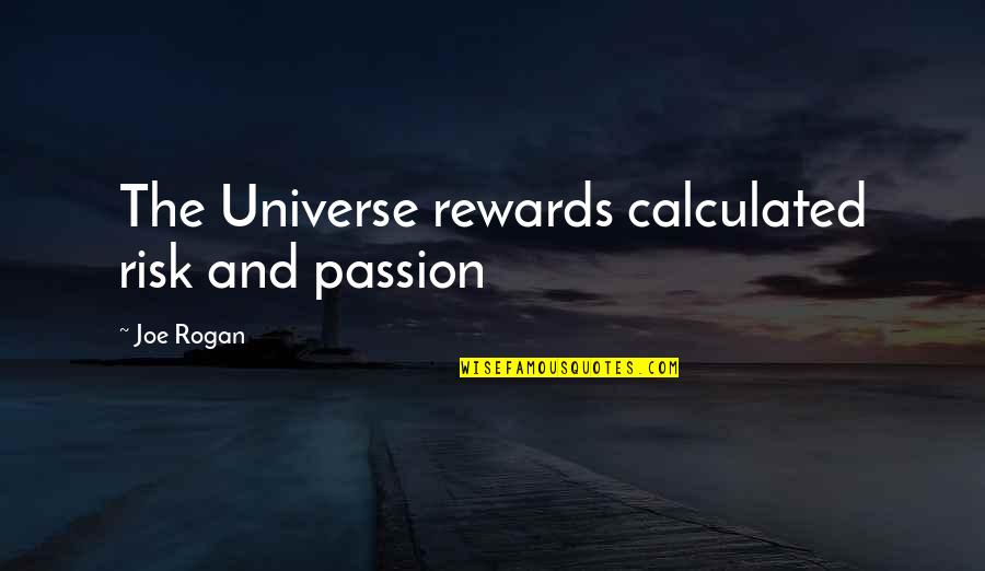 Skin Condition Quotes By Joe Rogan: The Universe rewards calculated risk and passion