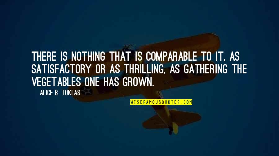 Skin Game Book Quotes By Alice B. Toklas: There is nothing that is comparable to it,
