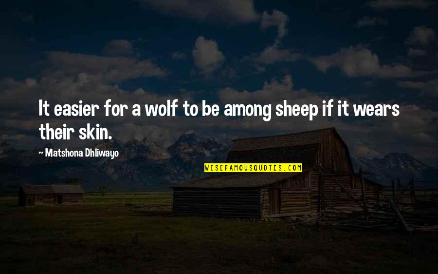 Skin Quotes And Quotes By Matshona Dhliwayo: It easier for a wolf to be among