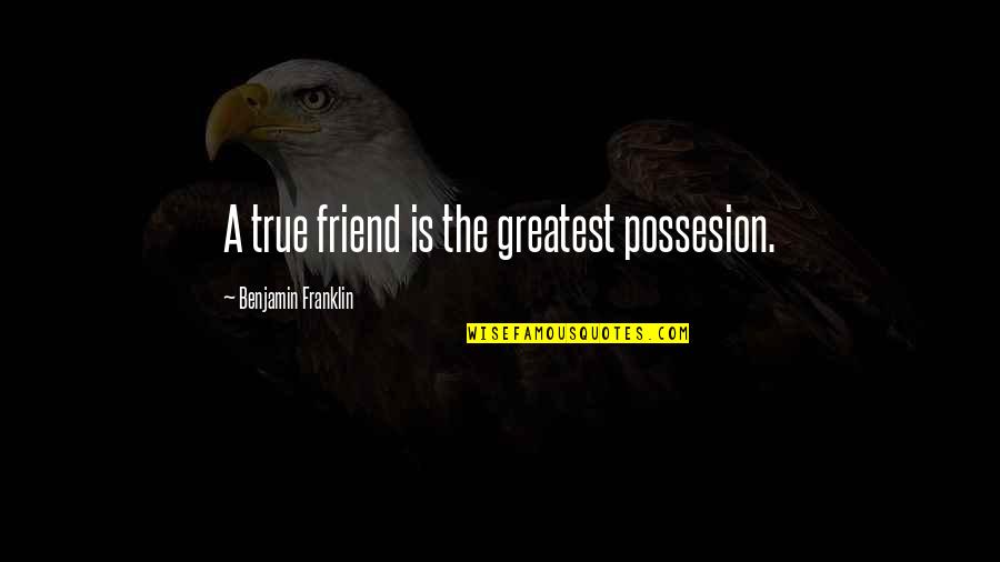 Skinlite Online Quotes By Benjamin Franklin: A true friend is the greatest possesion.