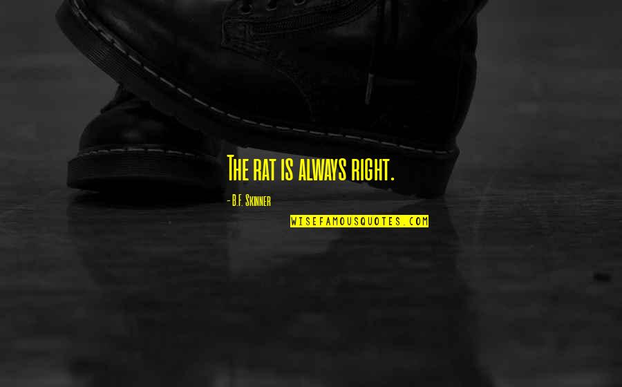 Skinner Quotes By B.F. Skinner: The rat is always right. Skinner Quotes By B.F. Skinner: The rat is always right.