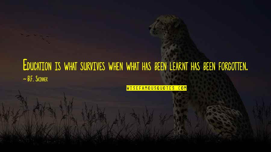 Skinner Quotes By B.F. Skinner: Education is what survives when what has been