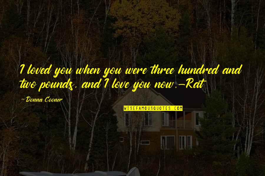 Skinny Love Quotes By Donna Cooner: I loved you when you were three hundred