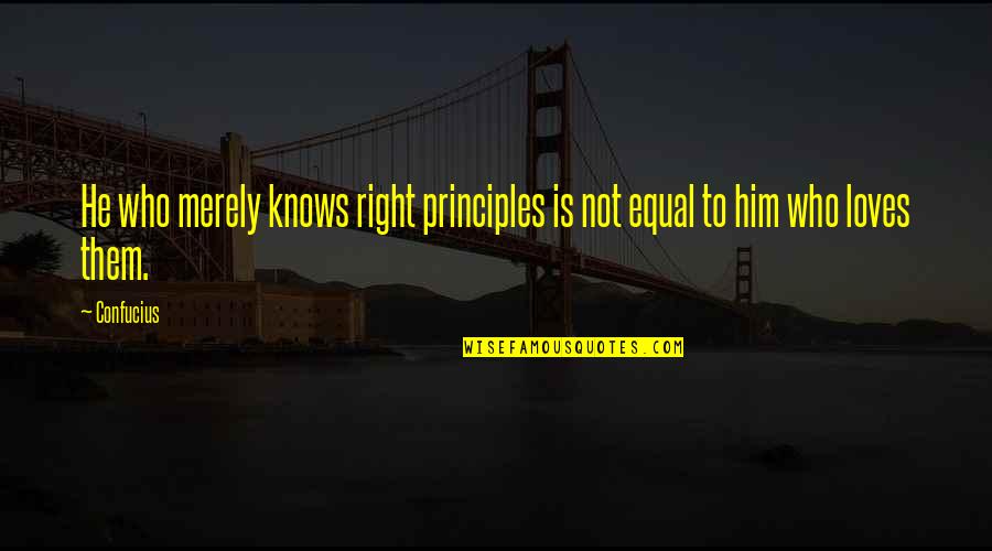 Skins 7 Rise Quotes By Confucius: He who merely knows right principles is not