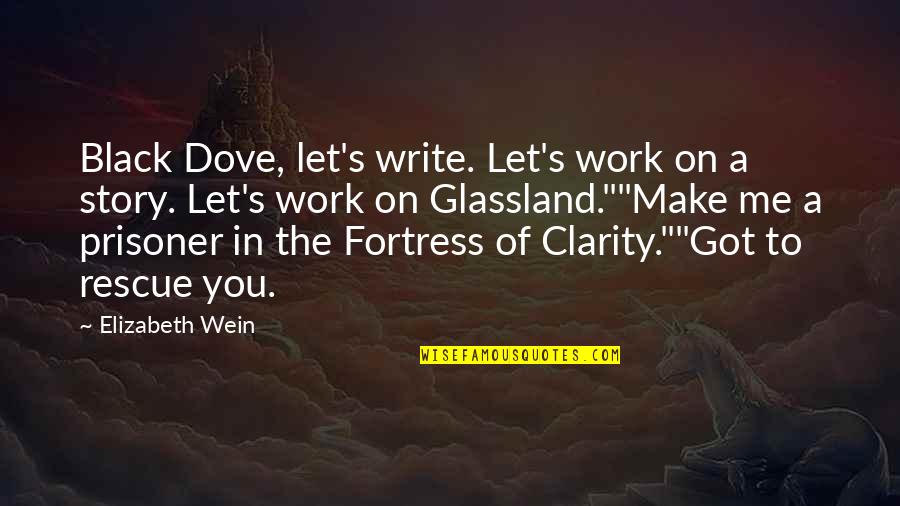 Skins And Fins Quotes By Elizabeth Wein: Black Dove, let's write. Let's work on a