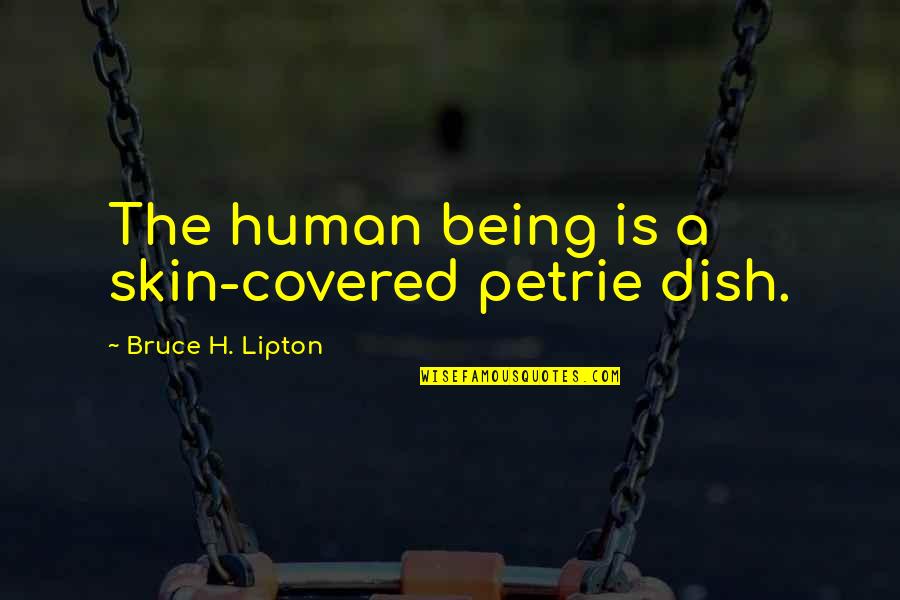 Skins Best Quotes By Bruce H. Lipton: The human being is a skin-covered petrie dish.