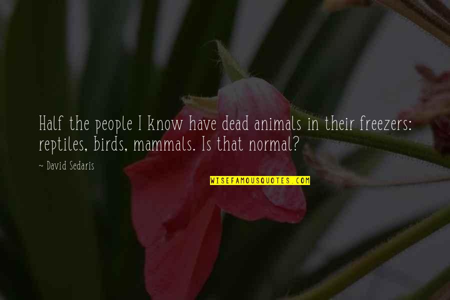Skintelligence Quotes By David Sedaris: Half the people I know have dead animals