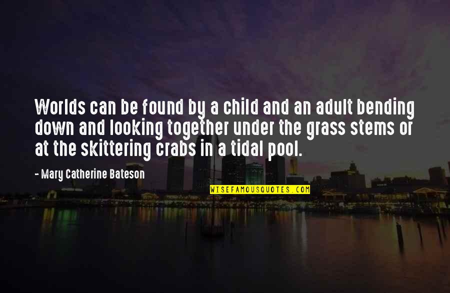 Skittering Quotes By Mary Catherine Bateson: Worlds can be found by a child and