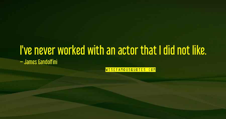 Skoda Quotes By James Gandolfini: I've never worked with an actor that I