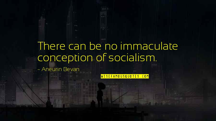 Skomager Quotes By Aneurin Bevan: There can be no immaculate conception of socialism.
