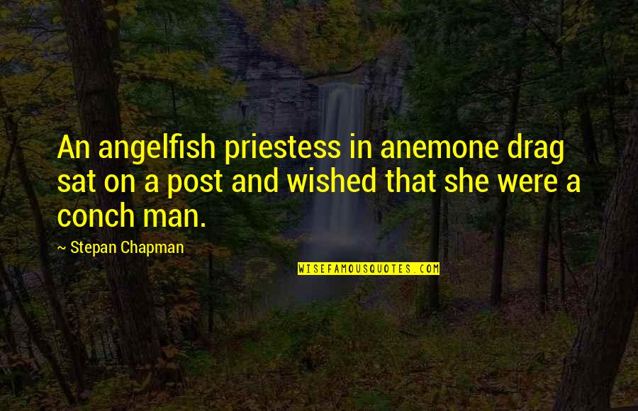 Skoolie Quotes By Stepan Chapman: An angelfish priestess in anemone drag sat on