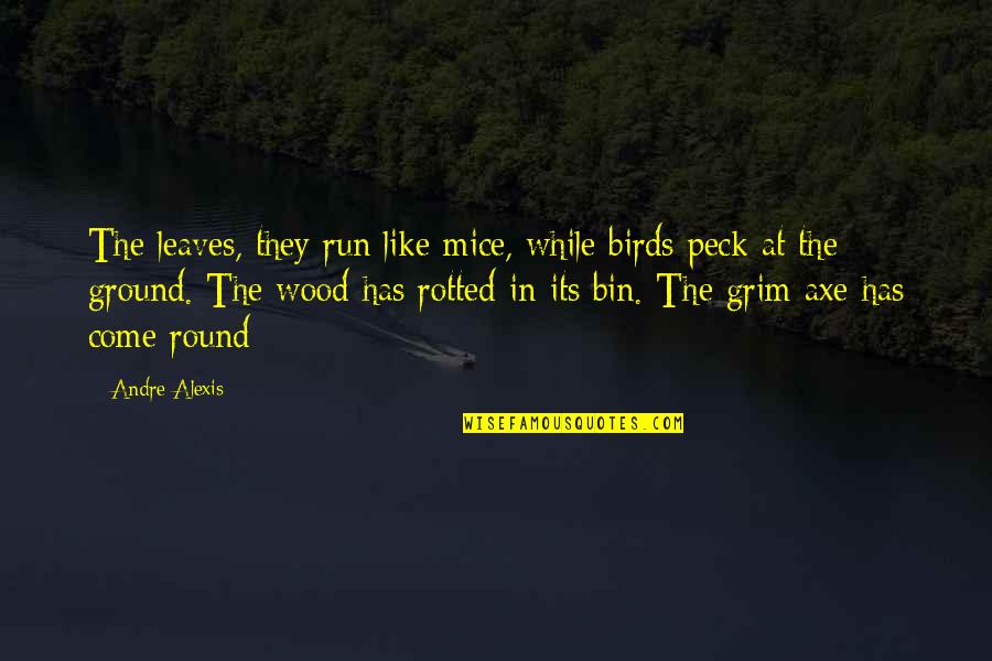 Skopicki Quotes By Andre Alexis: The leaves, they run like mice, while birds Skopicki Quotes By Andre Alexis: The leaves, they run like mice, while birds