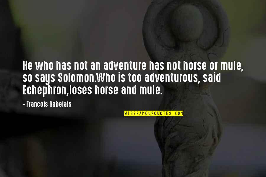 Skoufis Vs Basile Quotes By Francois Rabelais: He who has not an adventure has not