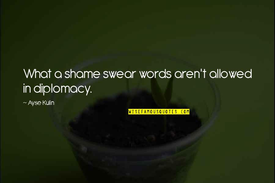 Skovron Mechanical Services Quotes By Ayse Kulin: What a shame swear words aren't allowed in