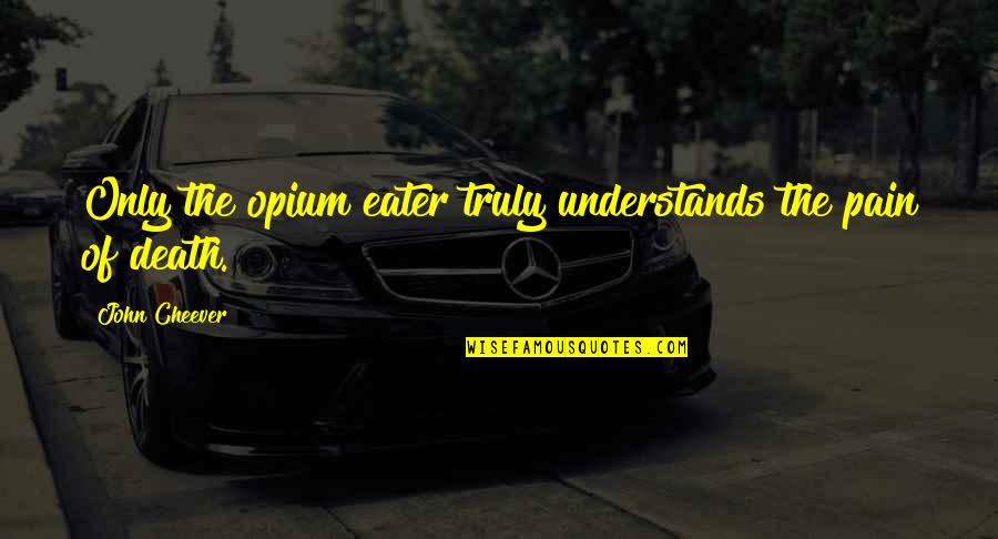 Skovron Mechanical Services Quotes By John Cheever: Only the opium eater truly understands the pain