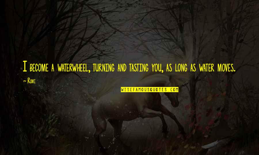 Skromane Quotes By Rumi: I become a waterwheel, turning and tasting you,