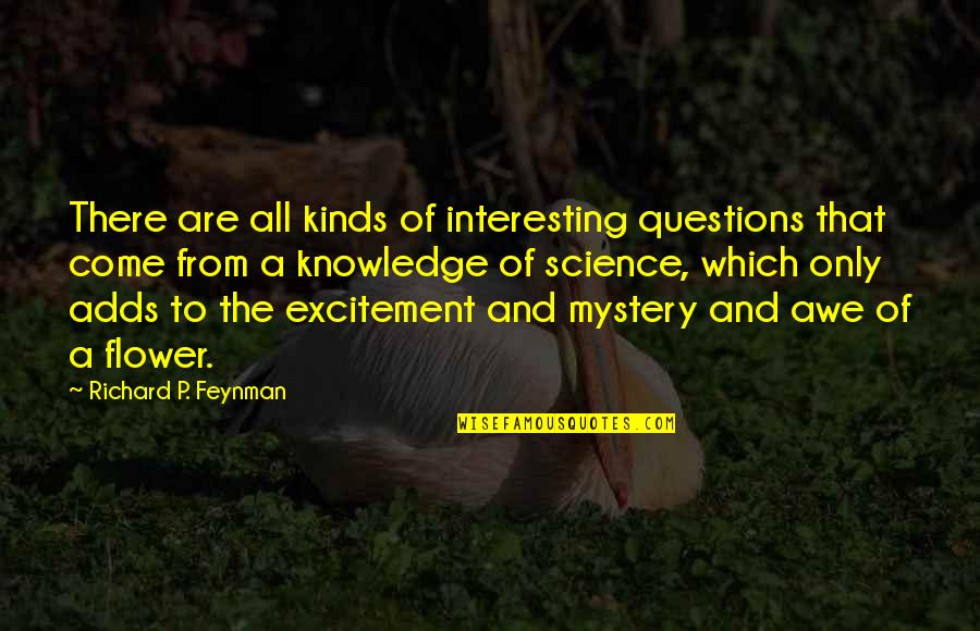 Skullector Quotes By Richard P. Feynman: There are all kinds of interesting questions that Skullector Quotes By Richard P. Feynman: There are all kinds of interesting questions that