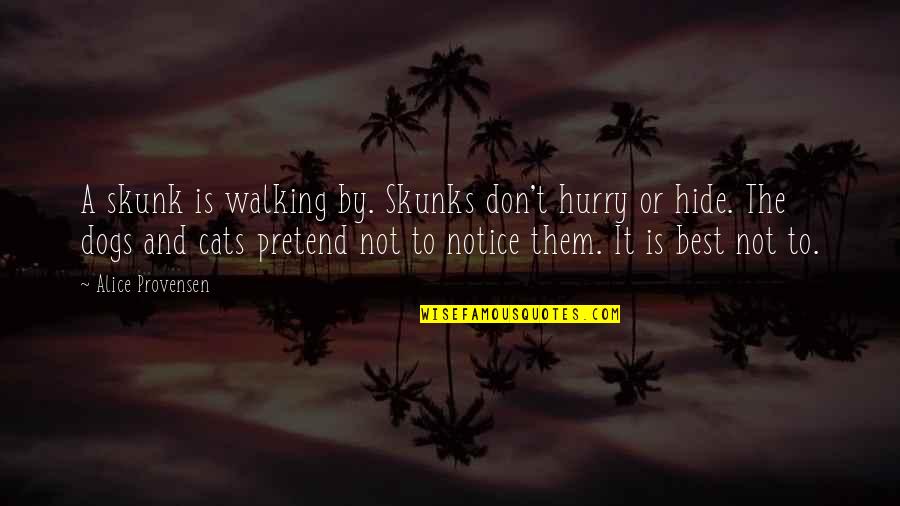 Skunks Quotes By Alice Provensen: A skunk is walking by. Skunks don't hurry