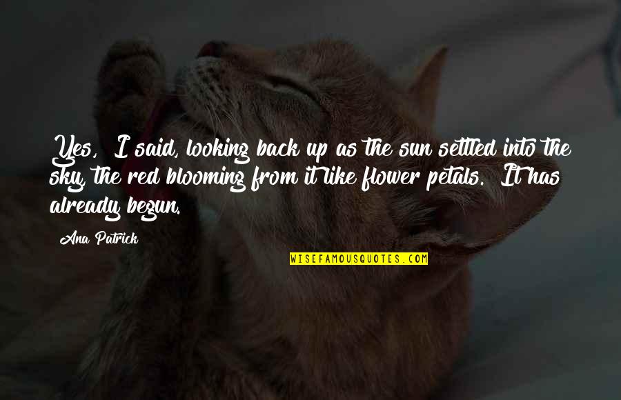 Sky And Flower Quotes By Ana Patrick: Yes," I said, looking back up as the