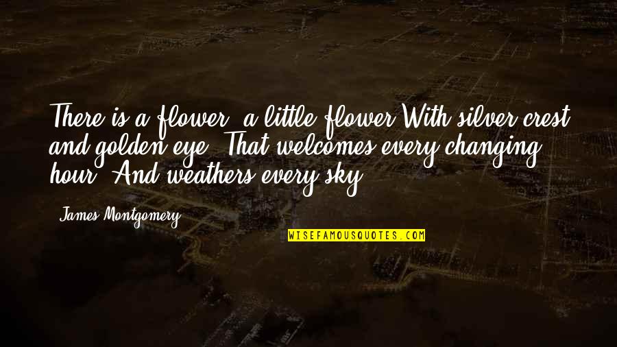 Sky And Flower Quotes By James Montgomery: There is a flower, a little flower With