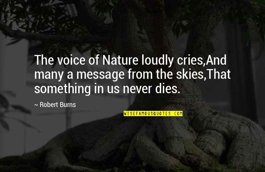 Sky And Nature Quotes By Robert Burns: The voice of Nature loudly cries,And many a