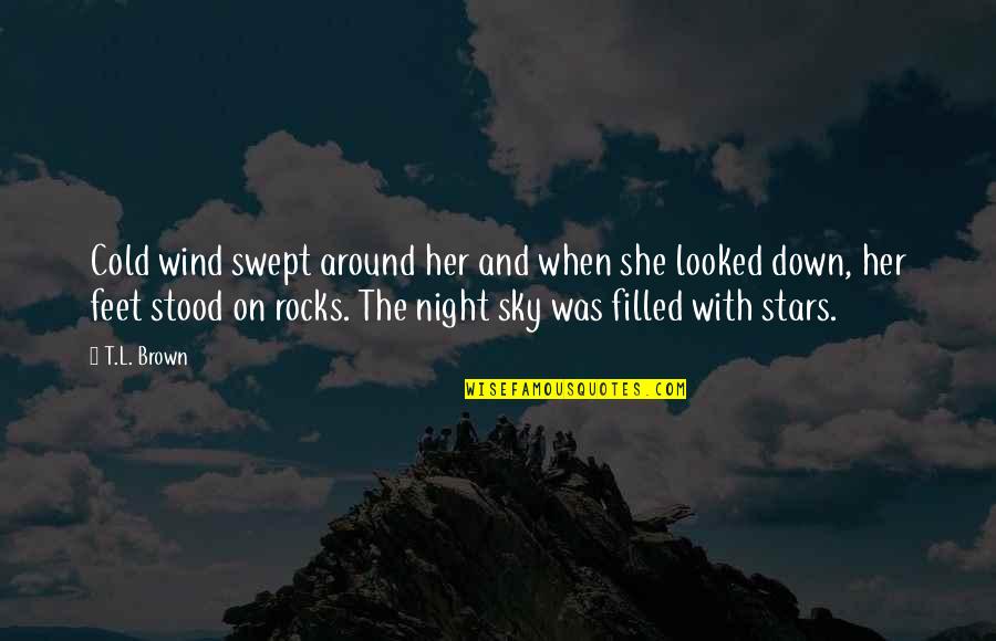 Sky And Stars Quotes By T.L. Brown: Cold wind swept around her and when she