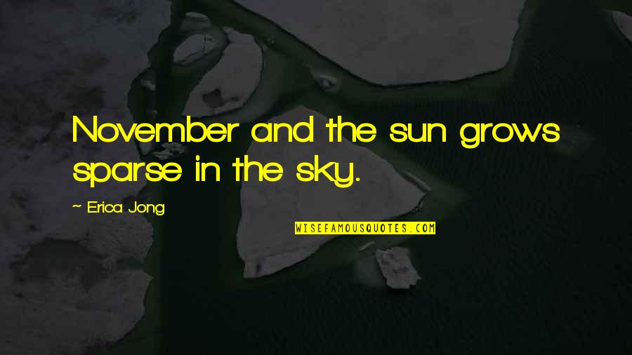 Sky And Sun Quotes By Erica Jong: November and the sun grows sparse in the