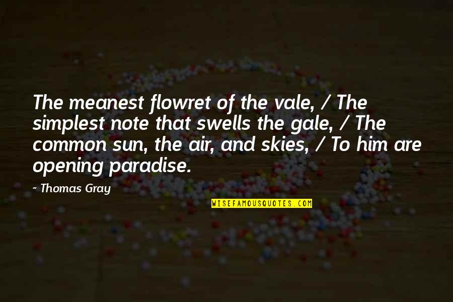 Sky And Sun Quotes By Thomas Gray: The meanest flowret of the vale, / The