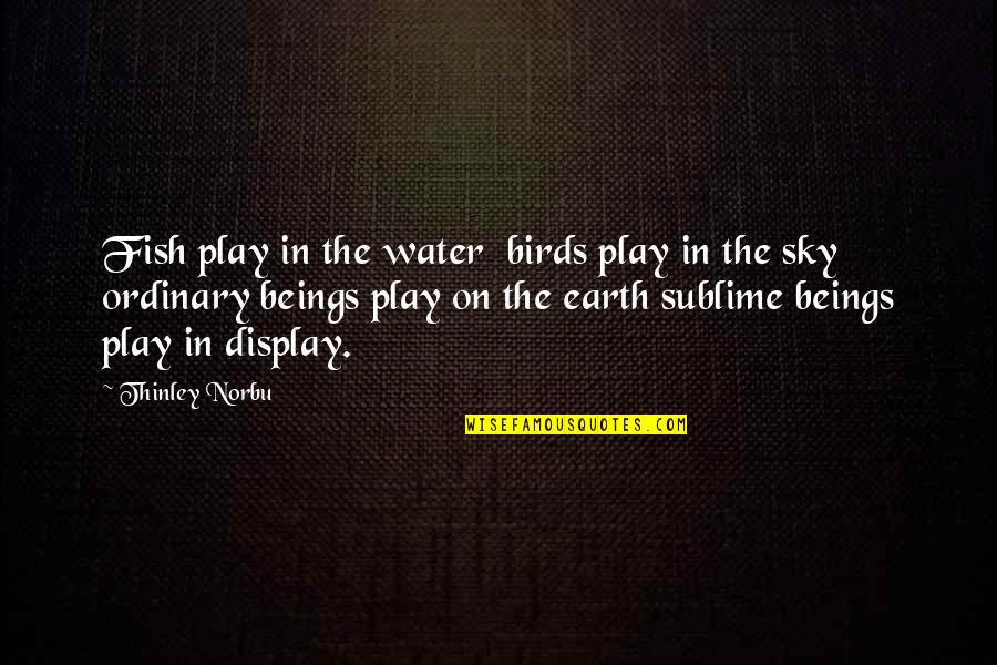 Sky And Water Quotes By Thinley Norbu: Fish play in the water birds play in