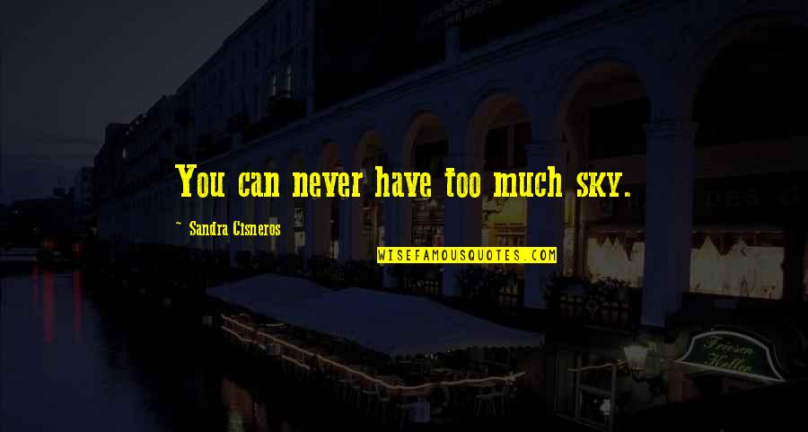 Sky Beach Quotes By Sandra Cisneros: You can never have too much sky. Sky Beach Quotes By Sandra Cisneros: You can never have too much sky.