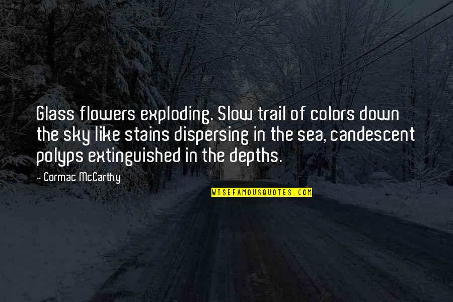 Sky Colors Quotes By Cormac McCarthy: Glass flowers exploding. Slow trail of colors down