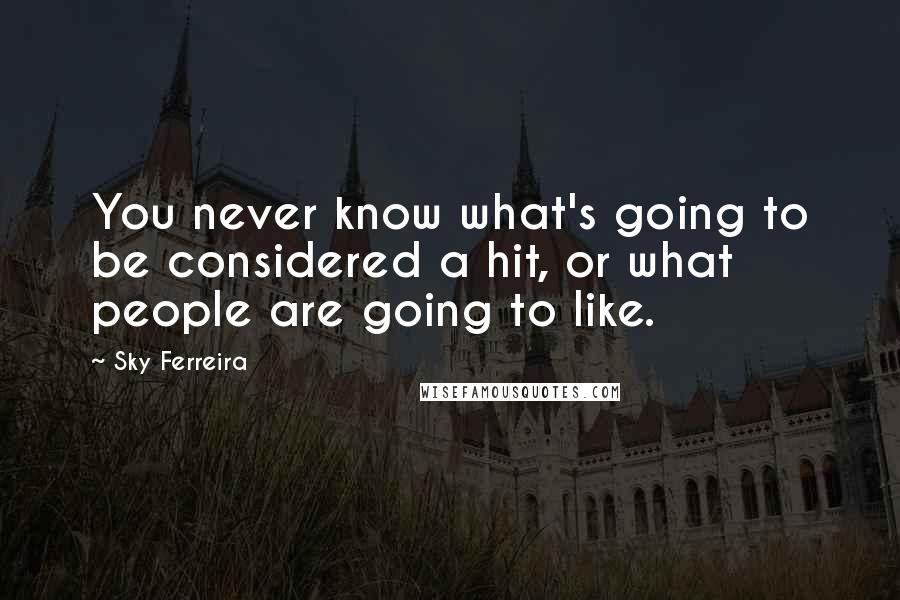 Sky Ferreira quotes: You never know what's going to be considered a hit, or what people are going to like.