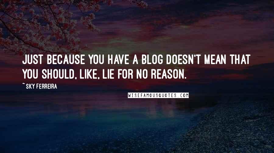 Sky Ferreira quotes: Just because you have a blog doesn't mean that you should, like, lie for no reason.