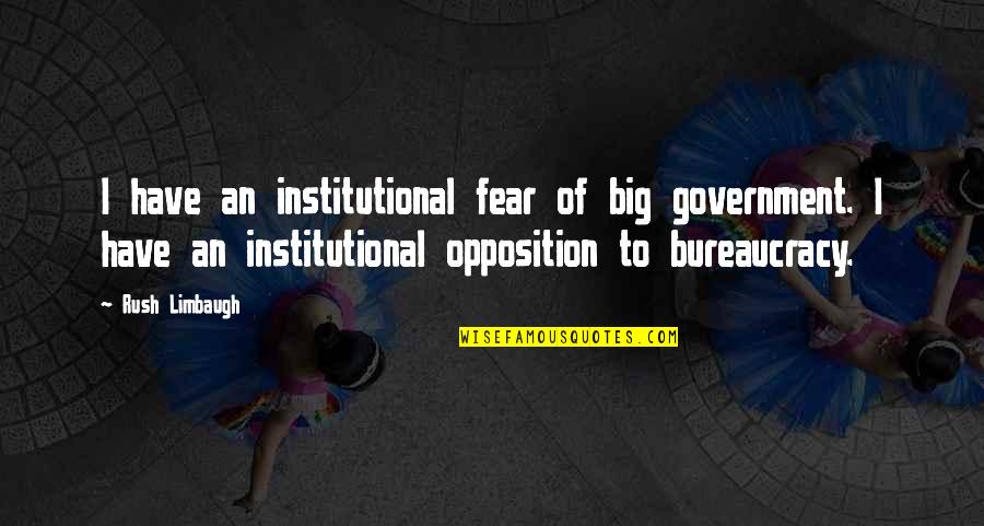 Sky Has No Limits Quotes By Rush Limbaugh: I have an institutional fear of big government.