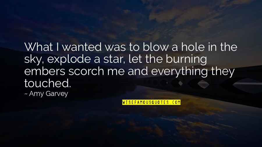 Sky Is Burning Quotes By Amy Garvey: What I wanted was to blow a hole Sky Is Burning Quotes By Amy Garvey: What I wanted was to blow a hole