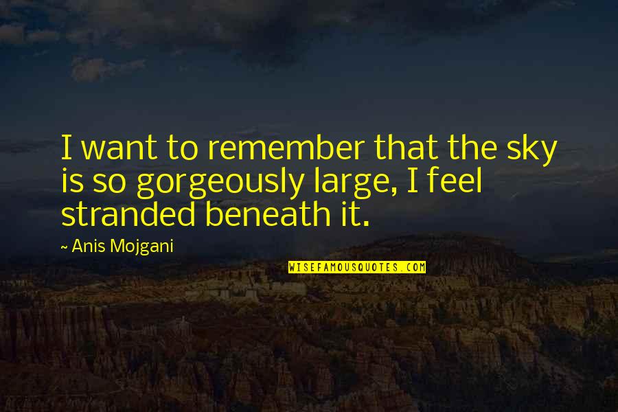 Sky Is Quotes By Anis Mojgani: I want to remember that the sky is