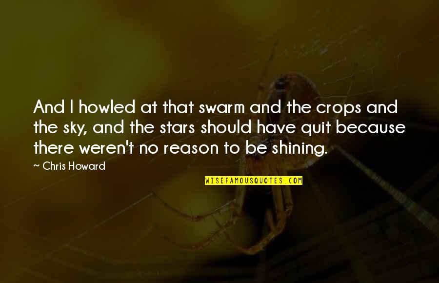 Sky Is So Beautiful Quotes By Chris Howard: And I howled at that swarm and the