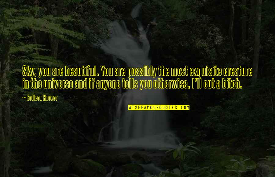 Sky Is So Beautiful Quotes By Colleen Hoover: Sky, you are beautiful. You are possibly the Sky Is So Beautiful Quotes By Colleen Hoover: Sky, you are beautiful. You are possibly the
